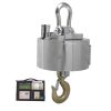 High Temperature Proof Crane Scale